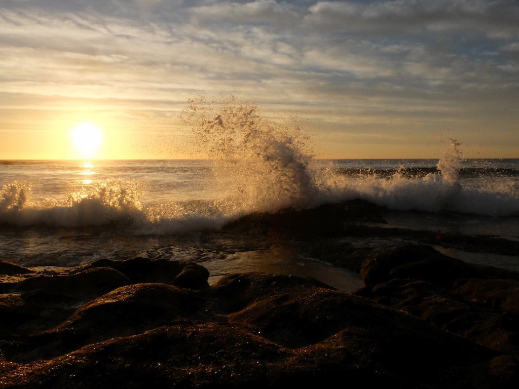 Maroubra Beach at dawn 2L