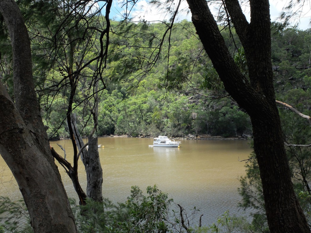 Kuring-gai National Park river boat