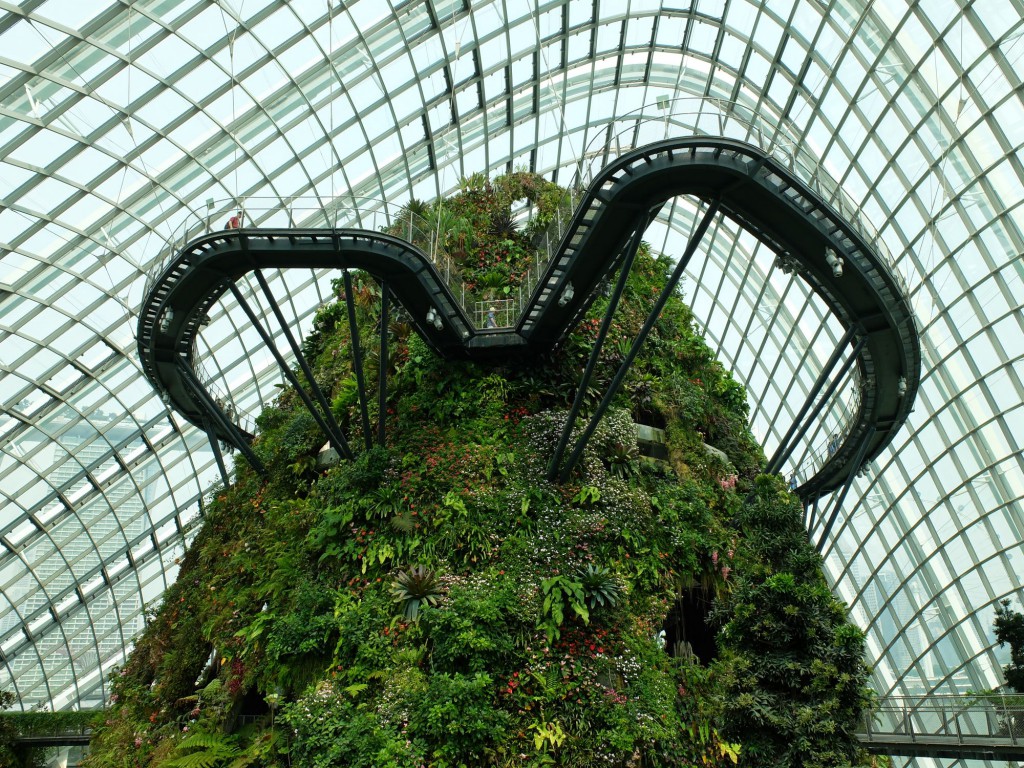 Singapore Gardens by the Bay cloud forest