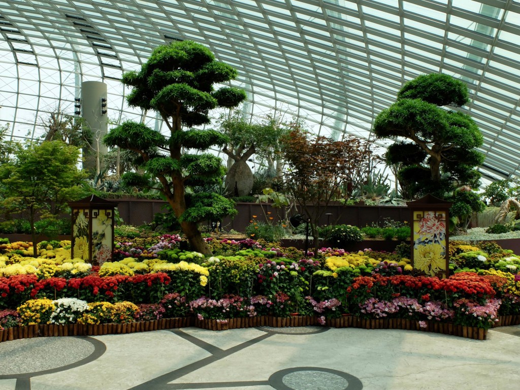 Singapore Gardens by the Bay flowers