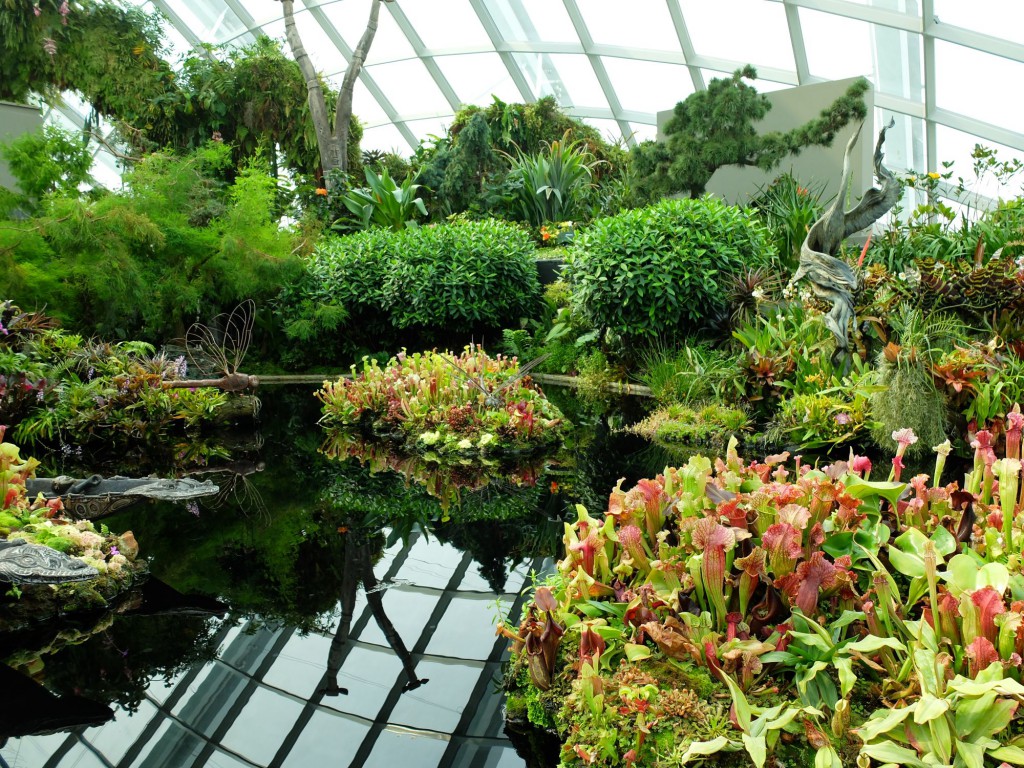 Singapore Gardens by the Bay reflection