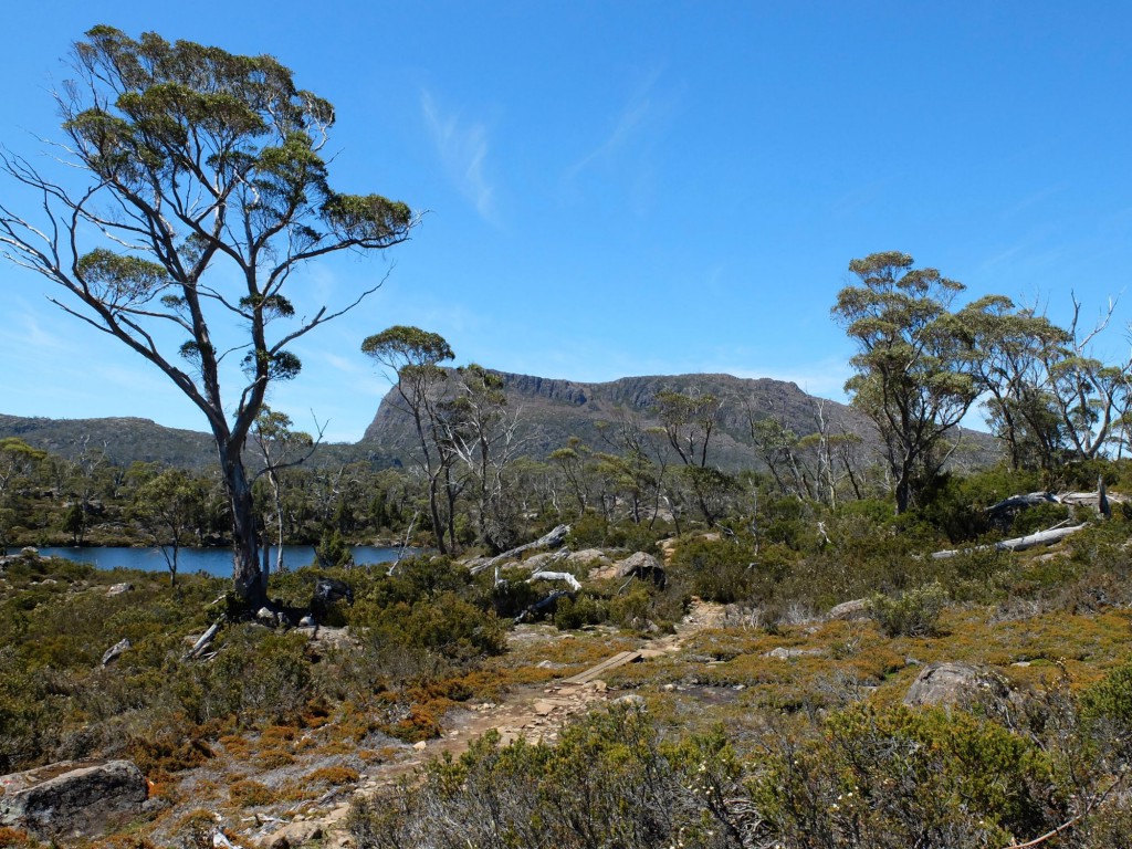 Tasmania Walls of Jerusalem path