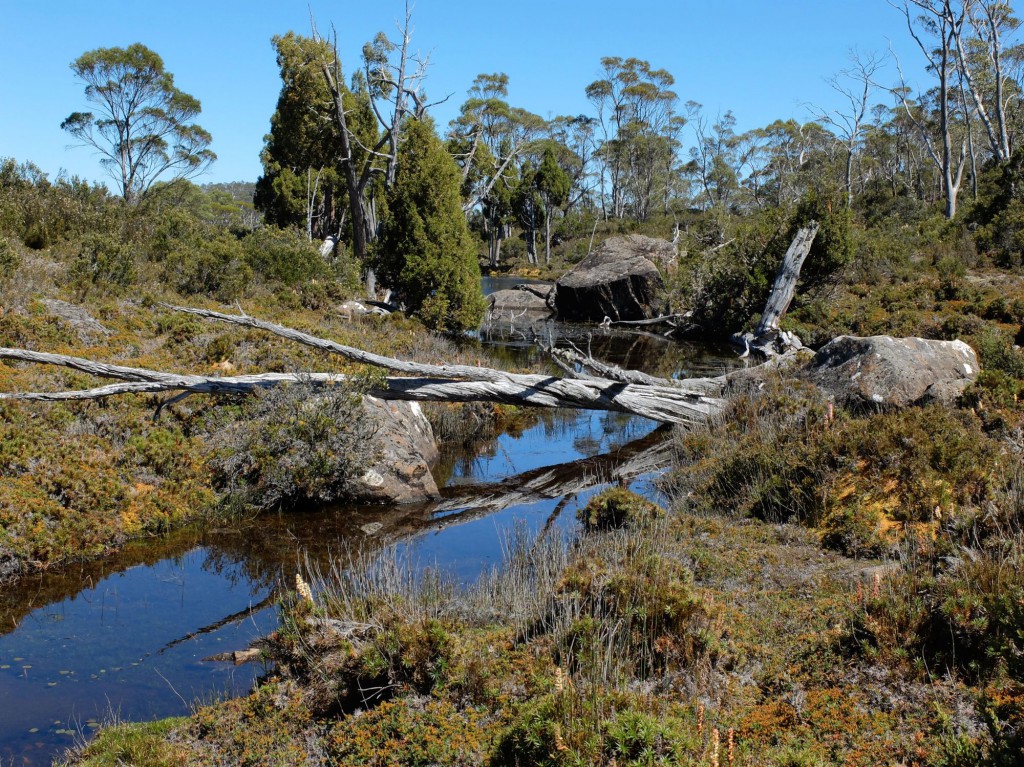 Tasmania Walls of Jerusalem stream