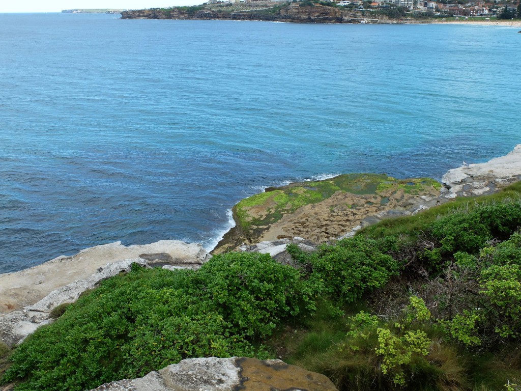 Coastal walk Tamarama