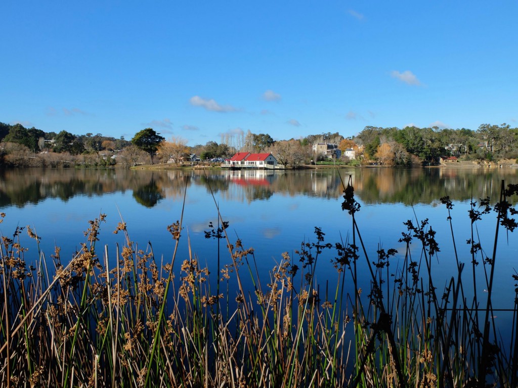 Daylesford Boathouse and mirror lake rushes