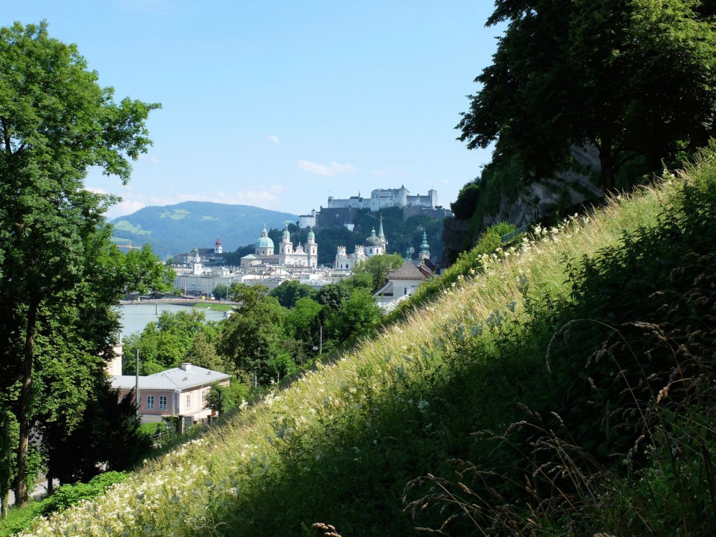 Salzburg from a far